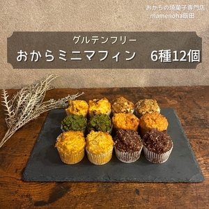 おから ミニ マフィン 6種 12個 セット ( グルテンフリー )