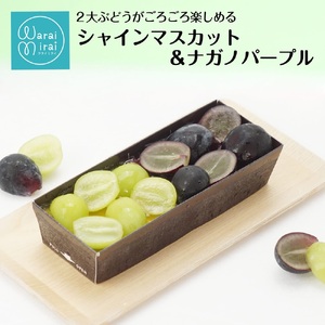 シャインマスカット&ナガノパープル カタラーナ | 長野県 飯田市