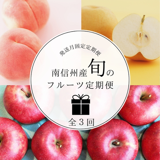 [発送月固定定期便]南信州産 旬のフルーツ定期便 全3回