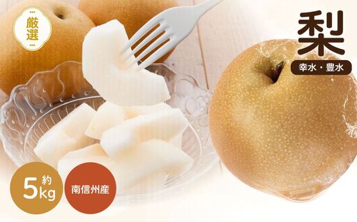 南信州産 梨 約5kg [ 幸水 ・ 豊水 ] いずれか1品種 おまかせ[2026年8月中旬〜発送]