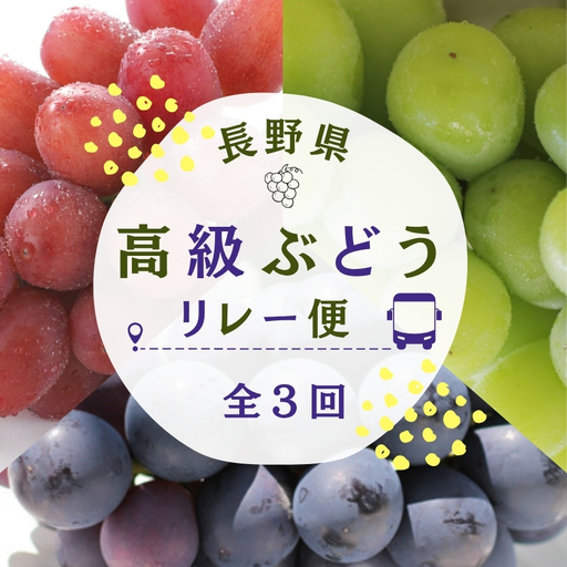 [定期便3回]長野県産 高級 ぶどう リレー便 ( 3ヶ月 )