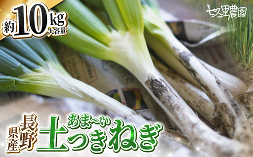 土付き ネギ 約10kg [2026年10月〜発送]|長野県 飯田市