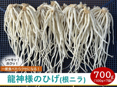 [ 先行予約 ]龍神様のひげ ( 根ニラ ) 700g (100g×7袋) / 株式会社 すわファーム 野菜 香味野菜 根菜 無農薬 高原野菜[91-01]