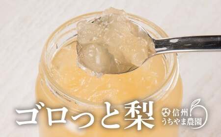 ゴロっと梨ジャム(和梨) 計4本(大瓶410g×2本 小瓶200g×2本)[信州うちやま農園]