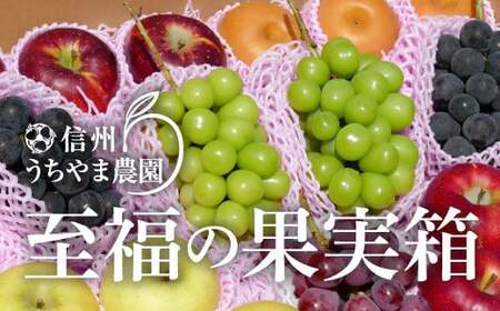 [秋に届く]至福の果実箱D 特大箱 (4〜7種類)(500g以上のシャインマスカット2房が必ず入ります)[信州うちやま農園] 2024年発送 ※10月上旬頃〜11月上旬頃まで順次発送予定