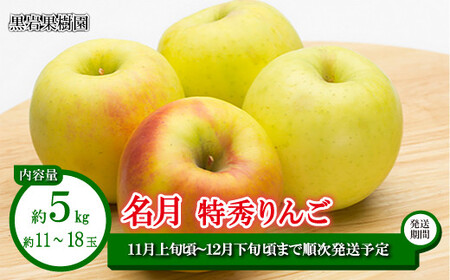 名月 特秀りんご 約5kg(約11〜18玉)[黒岩果樹園] 2024年発送 ※11月上旬頃〜12月下旬頃まで順次発送予定