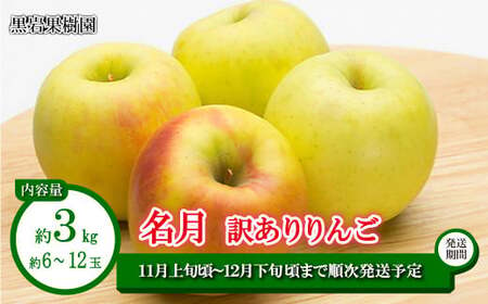 名月 訳ありりんご 約3kg(約6〜12玉)[黒岩果樹園] 2024年発送 ※11月上旬頃〜12月下旬頃まで順次発送予定