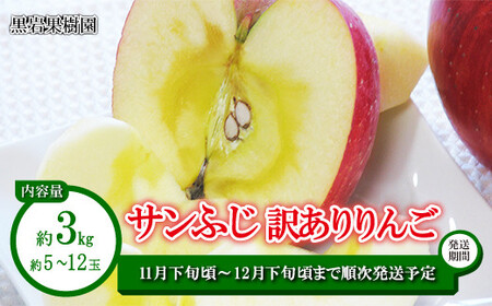 サンふじ 訳ありりんご 約3kg(約5〜12玉)[黒岩果樹園] 2024年発送 ※11月下旬頃〜12月下旬頃まで順次発送予定