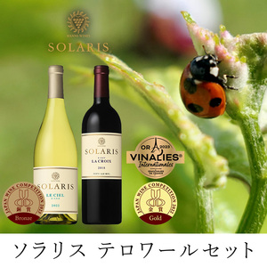 テロワールセット(紅白セット) ワイン お酒 赤ワイン 白ワイン ワインセット 果実味 しっかりしたタンニン