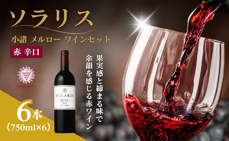 日本ワイン ソラリス 小諸 メルロー ワインセット 750ml×6本 赤ワイン マンズワイン 酒 お酒 洋酒 果実酒 ぶどう酒 長野 長野県 小諸市