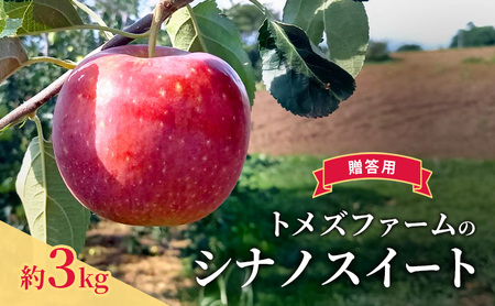 シナノスイート(贈答用) 約3kg(8玉〜12玉入り)トメズファーム りんご 長野 信州 小諸 果物 フルーツ