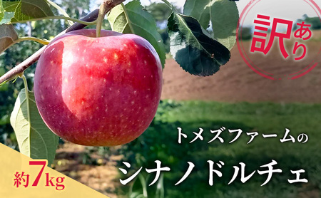 シナノドルチェ(訳あり) 約7kg トメズファーム りんご 長野 信州 小諸 果物 フルーツ