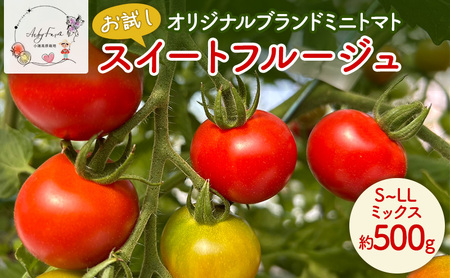 [お試し] スイートフルージュ 約500g アイビーファーム ミニトマト 長野 信州 小諸 産地直送