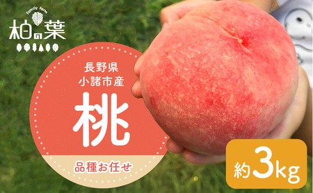 y2026Ns\z@쌧sY@3kgi9`12ʁj Mtgp@yFamily farm ̗tz