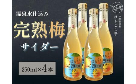 梅サイダー 250ml×4本 中棚温泉 長野 信州 小諸