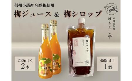 梅ジュース250ml×2本&梅シロップ450ml×1個 中棚温泉 長野 信州 小諸