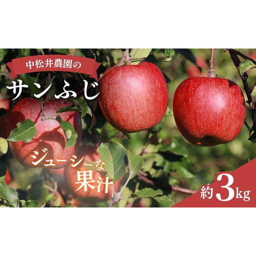 中松井農園のサンふじ　約3kg 長野 小諸 信州 リンゴ 林檎 果物類 りんご