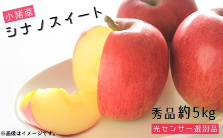 シナノスイート 秀品 約5kg 長野県産 果物類 林檎 りんご リンゴ フルーツ 小諸市