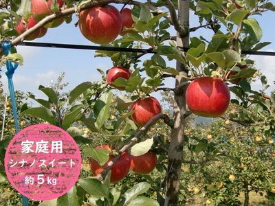 信州小諸・福井りんご園のシナノスイート（家庭用）約5kg 果物類 林檎 りんご リンゴ シナノスイート 家庭用