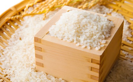 小諸　御牧ヶ原産　こしひかり　15kg　長野 信州 コシヒカリ 精米 美味しいお米 お取り寄せ