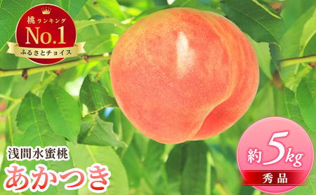 先行予約 2024年発送 浅間水蜜桃 みつおかの もも あかつき 秀品 約5kg 長野県産 小諸市 桃 果物