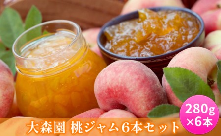 ジャム 桃 6本 セット 大森園 もも 長野 加工品 フルーツ 果物