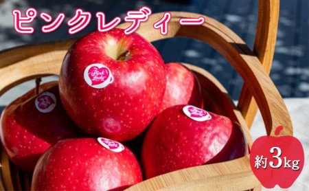 中松井農園 ピンクレディー約3kg 12〜15玉 果物 フルーツ りんご 長野県産 信州 信州のリンゴ 酸味 小ぶり 芳醇 風味 クッキングアップル デザート 食後