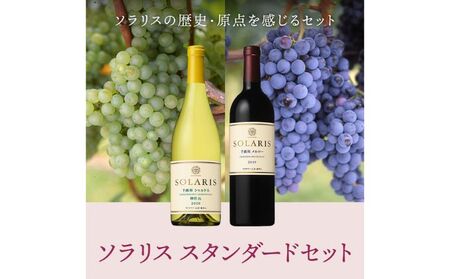 父の日 ワイン 信州ワイン 赤 白 ソラリス スタンダードセット ワインセット フレッシュ 果実香 ほどよい酸味 アロマ 果実味 タンニン