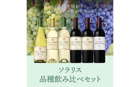 ソラリス 品種飲み比べセット ワインセット ワイン 赤ワイン 白ワイン シャルドネ 辛口ワイン ソーヴィニヨン メルロー スパイシー タンニン