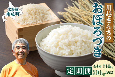 【定期便全4回】令和6年産 川越さんちの おぼろづき　10kg（5kg×2袋）毎月1回お届け 雨竜産 おぼろづき 精米 定期便 10kg お米 おにぎり お弁当 お取り寄せ 北海道 雨竜町