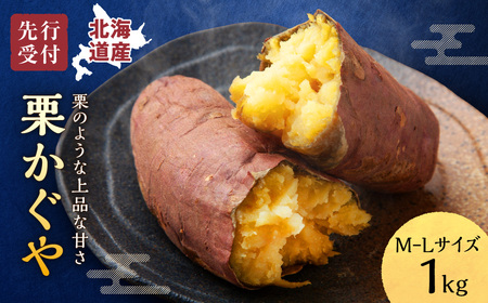 [数量限定]北海道雨竜町産 さつまいも 「栗かぐや」M-Lサイズ 1kg 大きめサイズ 産地直送 北海道 国産 おやつ お菓子作り 料理
