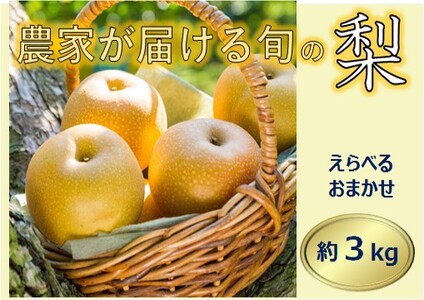 信州の梨 品種おまかせ 約3キロ