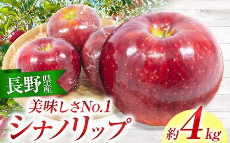 りんご 信州産の夏りんご 美味しさNO.1 さわやかな酸味 シナノリップ 約4kg [012-64]
