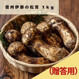  MB ɓ   1kg ipj|  ܂ }c^P 쌧 ɓߎs l R p 蕨 Mtg y360-03z