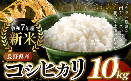   RVqJ MBɓߎY ߘaVNx ɓߎscY RVqJ 10L b  RVqJ cY  ɓ ɓߎY 쌧 ӂ邳Ɣ[ y027-17z