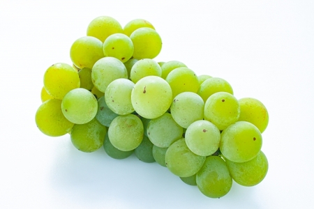 葡萄 伊那市産 ぶどう ナイアガラ 約2kg 2026年産 先行予約 長野県 伊那市[011-97]