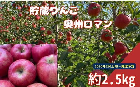 シャキ シャキ 貯蔵りんご 奥州ロマン 約2.5kg スマートフレッシュ|りんご 林檎 フルーツ 果物 奥州ロマン 貯蔵 こだわり シャキシャキ 伊那 ふるさと納税 信州 長野県