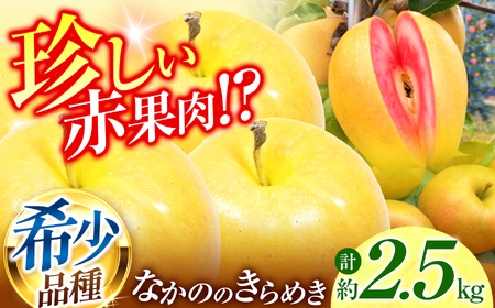 赤果肉 りんご なかののきらめき 約2.5kg [012-72]