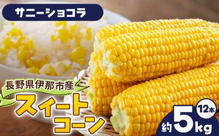 とうもろこし 伊那市産 スイートコーン 約5kg 2Lサイズ 12本入り サニーショコラ [013-50]