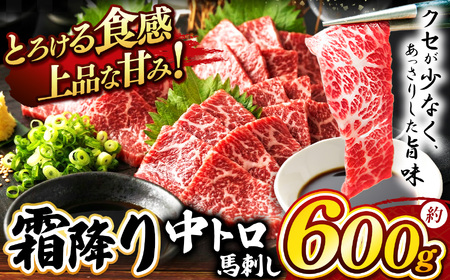 霜降り中トロ馬刺し 約600g |馬刺し 鮮馬刺し 霜降り 中トロ 馬刺し とろける 馬刺 長野 信州 濃い旨み 贅沢 馬肉 お肉 刺身 冷凍 小分け 送料 無料 伊那 信州[017-26]