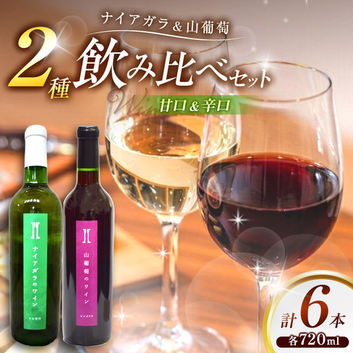 伊那ワイン工房 ワイン6本セット(ナイアガラと山葡萄のワイン)[041-05]