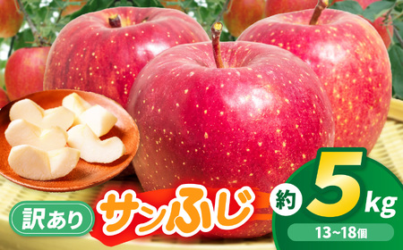 りんご 先行予約 伊那市田原産 リンゴ サンふじ 訳あり 約5kg 2026年11月中旬〜発送[011-a3]