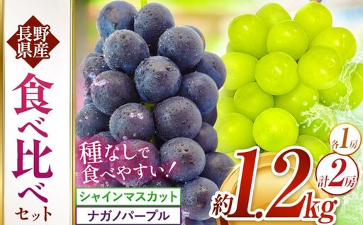 シャインマスカット ナガノパープル 食べ比べ 各1房 計2房 約1200g 農事組合法人田原 伊那市 長野県 信州 [012-84]
