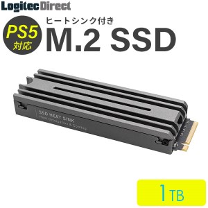 【080-06】ロジテック PS5対応 ヒートシンク付きM.2 SSD 1TB Gen4x4対応 NVMe PS5拡張ストレージ 増設【LMD-PS5M100】