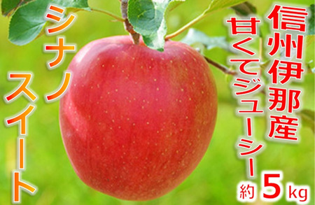 【012-16】シナノスイート5キロ信州が生んだ最高においしいりんごです（りんご・リンゴ・林檎）