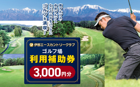 伊那エースカントリークラブ ゴルフ場利用補助券 3枚