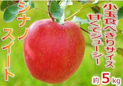 信州のりんご シナノスイート 厳選!小玉食べきりサイズ! 約5キロ