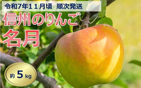 令和7年11月ごろ発送 信州のりんご 名月 約5kg