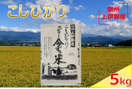 【013-41】JA上伊那　コシヒカリ　今ずり米　5kg　1袋