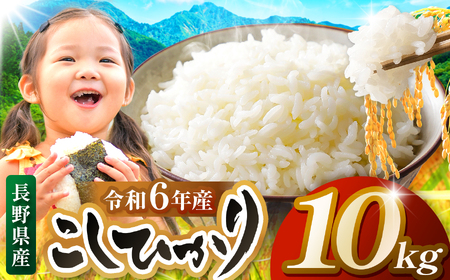 米 10kg コシヒカリ 令和6年産 JA上伊那 令和6年産 コシヒカリ 今ずり米 5kg 2袋 長野 上伊那 お米 長野県産 こしひかり 10キロ 白米 精米 信州 特産 産地直送 おすすめ こめ コメ おこめ 送料無料 長野県 伊那市[027-16]